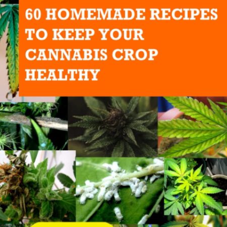 CANNABIS : 60 HOMEMADE RECIPES TO KEEP YOUR CANNABIS CROP HEALTHY: Quick Identification Key